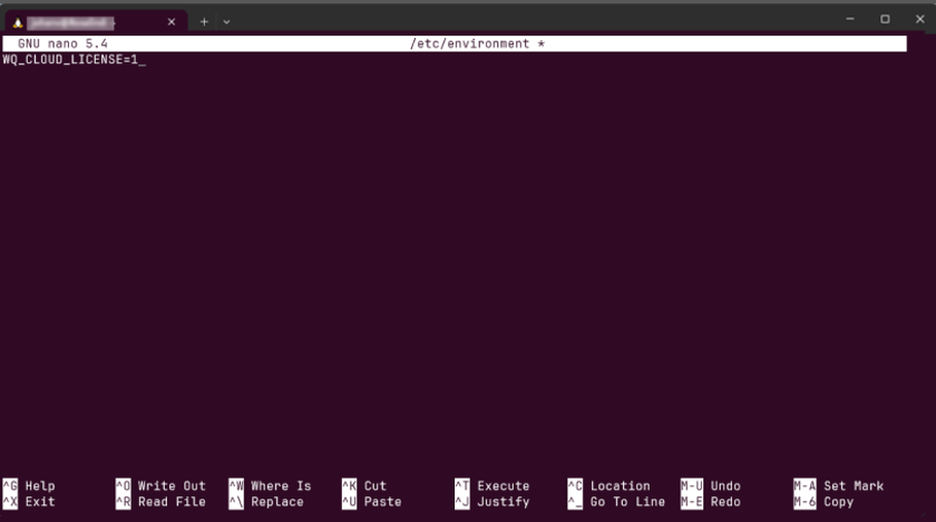 Screenshot of nano editor with export WQ_CLOUD_LICENSE=1 line